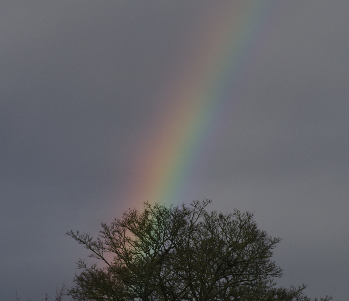 Rainbow in Rough Weather